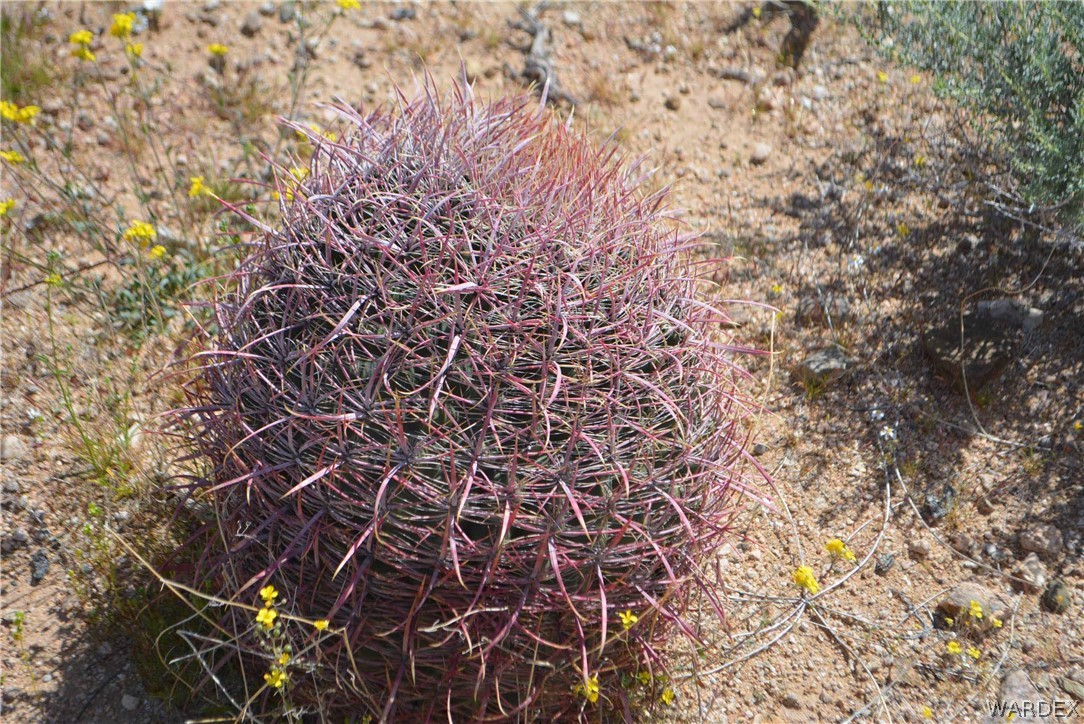 3529 East Arroyo Road Yucca, AZ 86438 - Photo 31 of 34