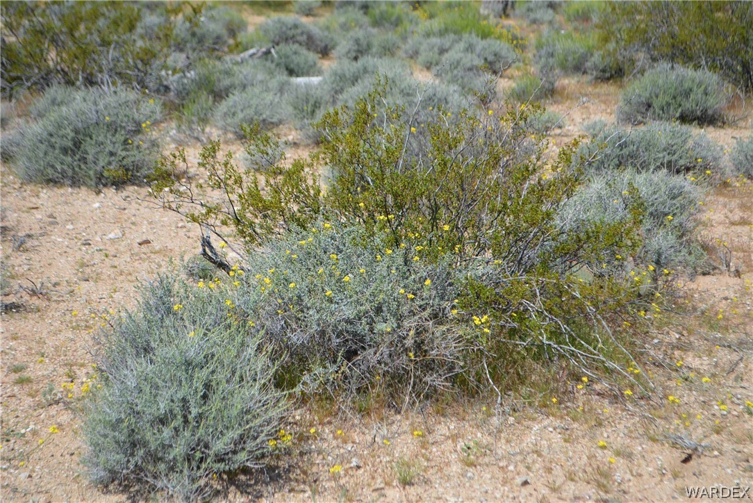 3529 East Arroyo Road Yucca, AZ 86438 - Photo 32 of 34