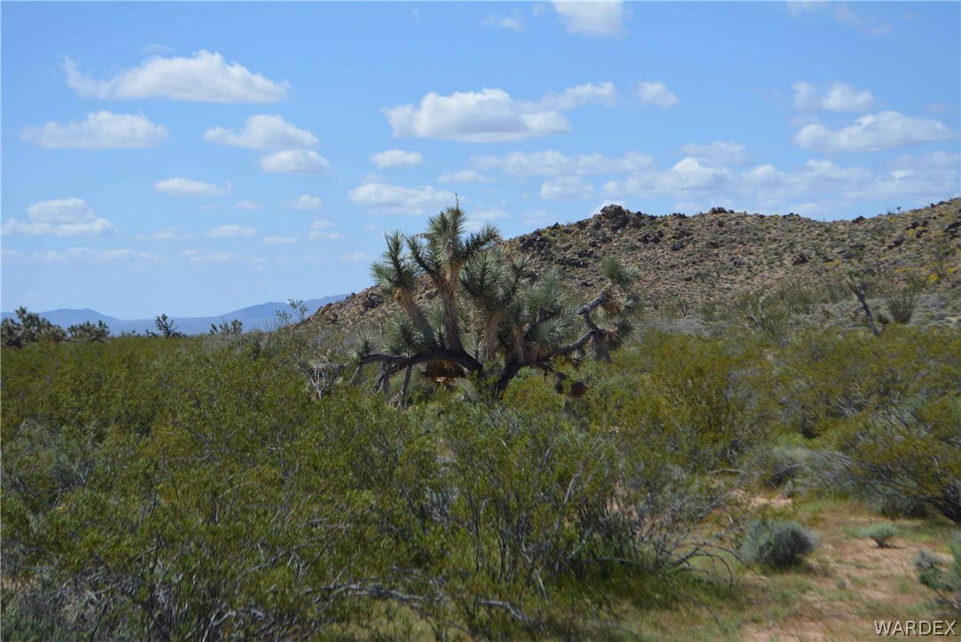 3529 East Arroyo Road Yucca, AZ 86438 - Photo 33 of 34