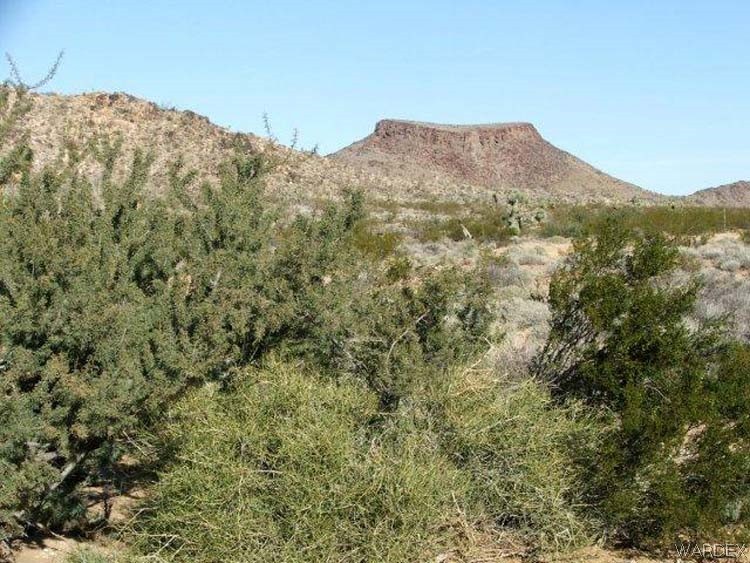 3529 East Arroyo Road Yucca, AZ 86438 - Photo 4 of 34