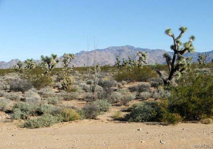 3529 East Arroyo Road Yucca, AZ 86438 - Photo 5 of 34