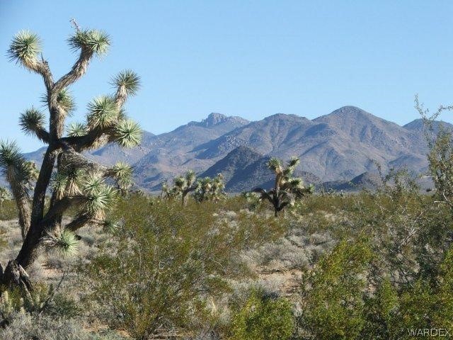 3529 East Arroyo Road Yucca, AZ 86438 - Photo 6 of 34