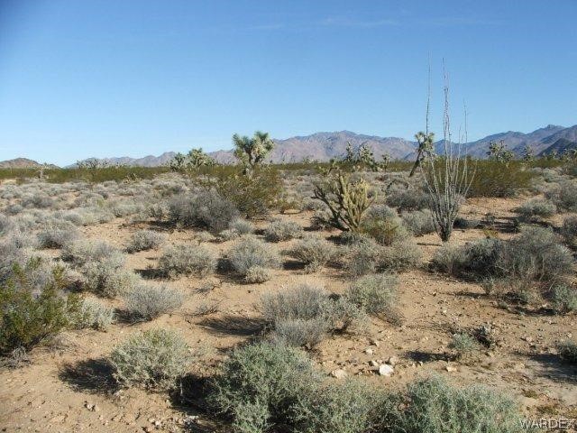 3529 East Arroyo Road Yucca, AZ 86438 - Photo 7 of 34