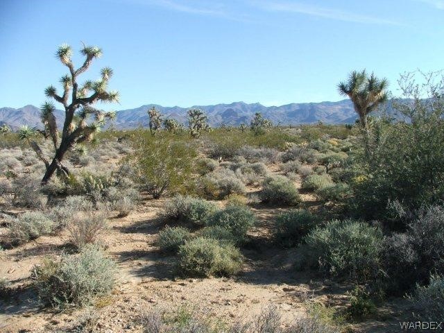 3529 East Arroyo Road Yucca, AZ 86438 - Photo 8 of 34