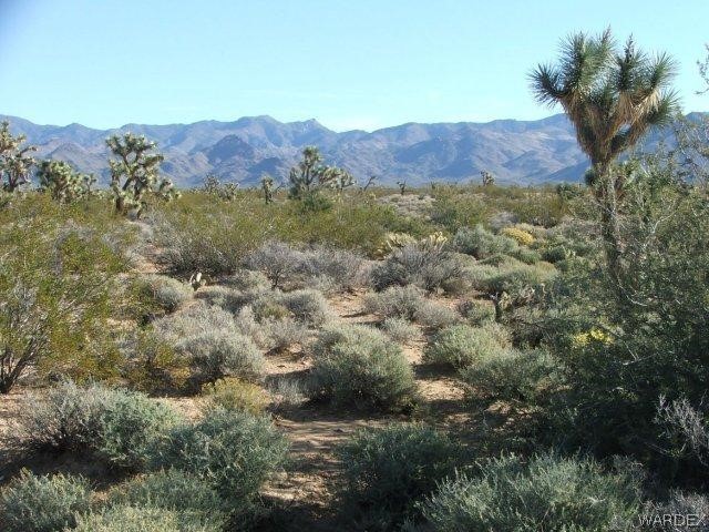 3529 East Arroyo Road Yucca, AZ 86438 - Photo 9 of 34