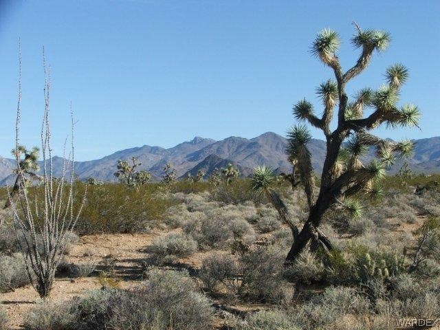 3529 East Arroyo Road Yucca, AZ 86438 - Photo 10 of 34