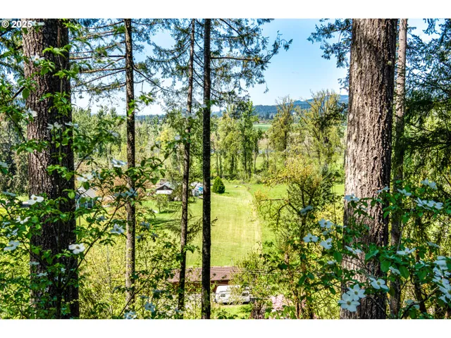 $599,000 | 88154 Tiki Lane, Springfield, OR 97478