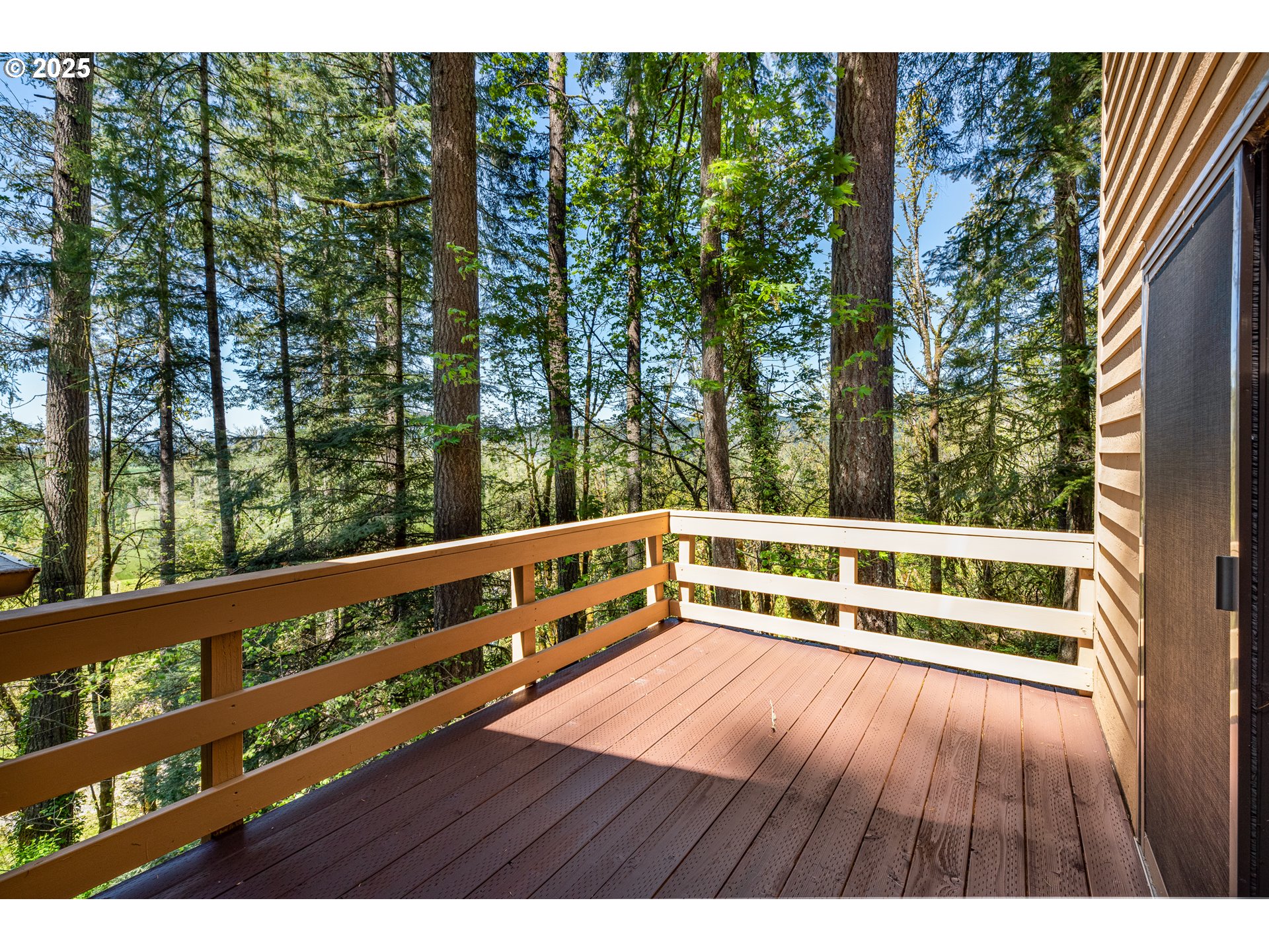 88154 Tiki Lane Springfield, OR 97478 - Photo 45 of 48