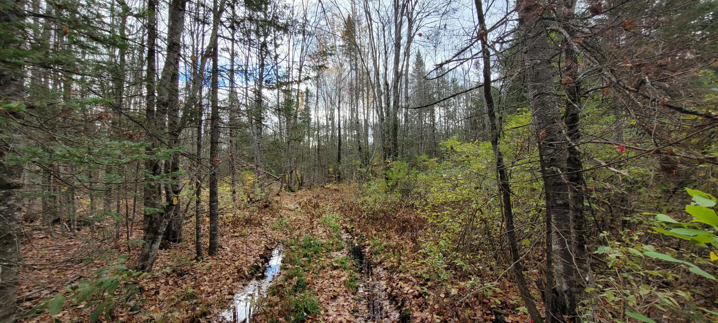 0 Storer Road Bradford, ME 04410 - Photo 10 of 27 20211019_100848