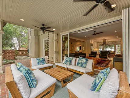 a view of a garden with a tree