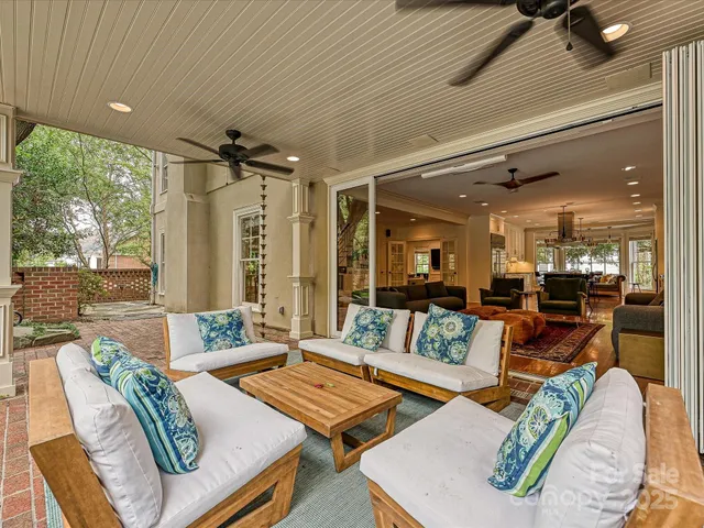 a view of a garden with a tree