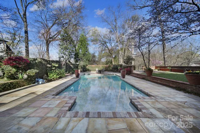 a outdoor space with lots of trees