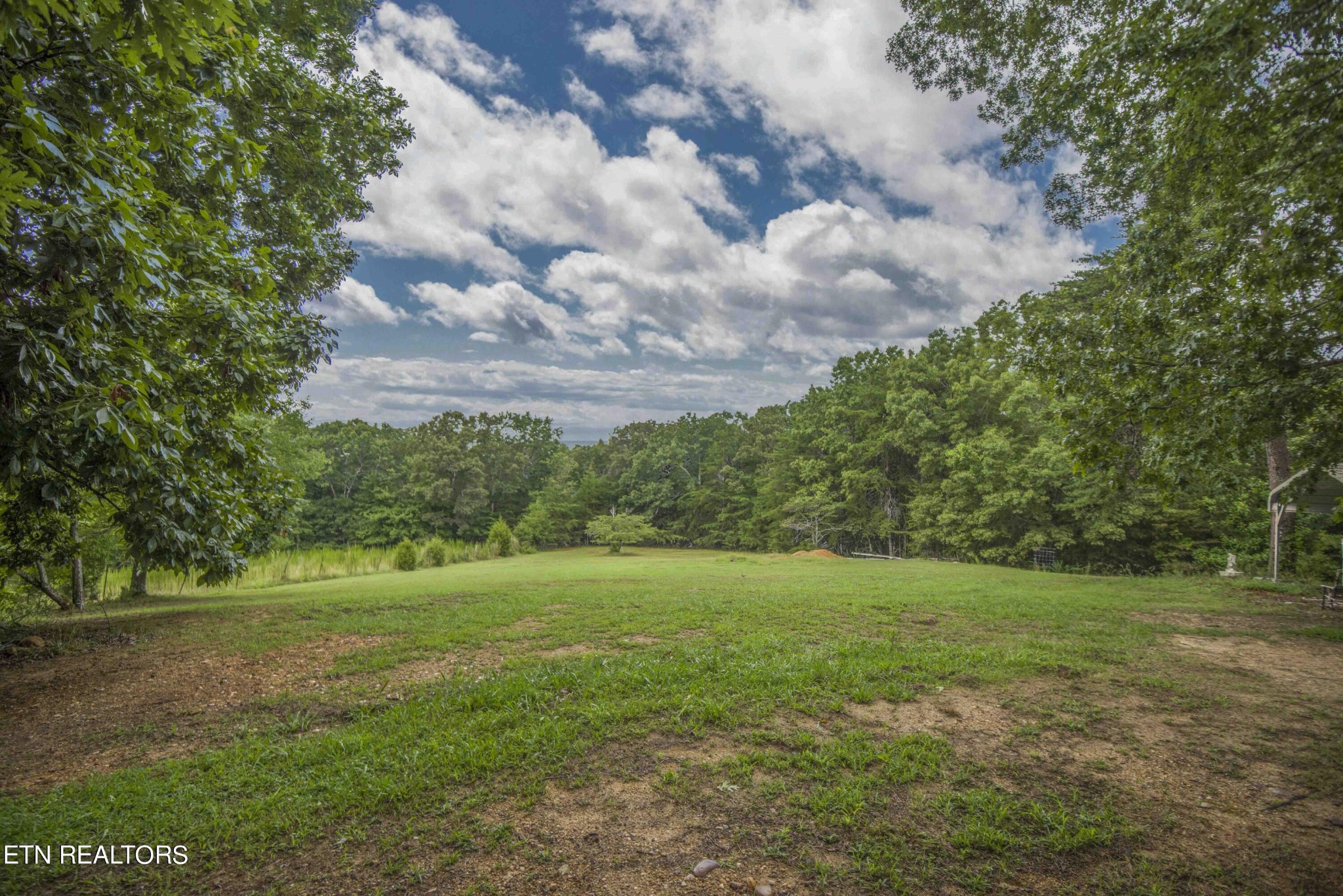 230 Ewing Cemetery Road Spring City, TN 37381 - Photo 54 of 55 Gallery Image 54