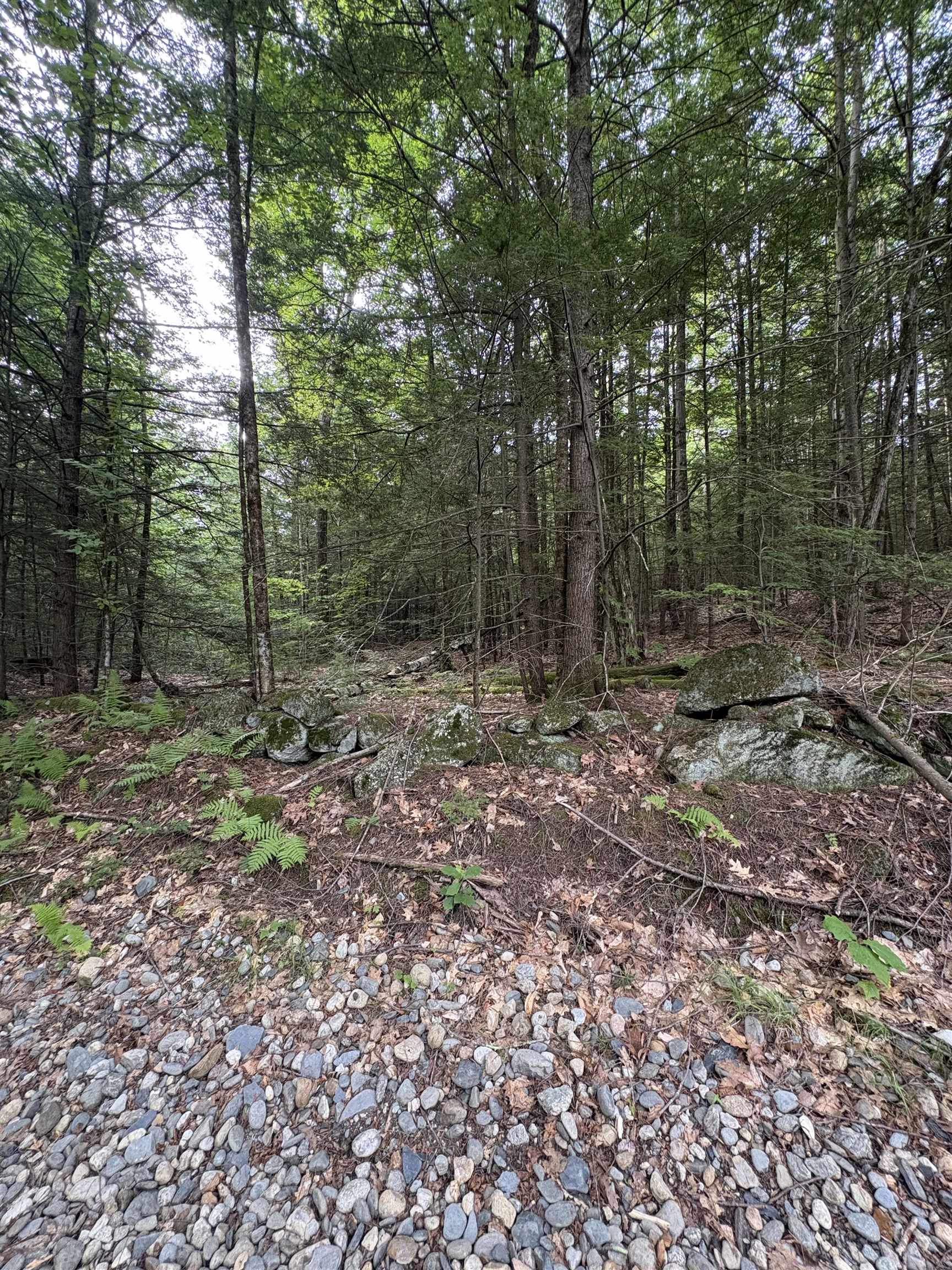 0 Access Road, Unit MAP 18A LOT 15 Spofford, NH 03462 - Photo 1 of 10 Gallery Image 1