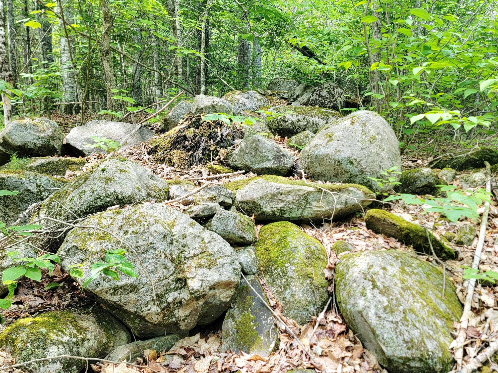 477 Hadley Mill Road Jackson, ME 04921 - Photo 14 of 32