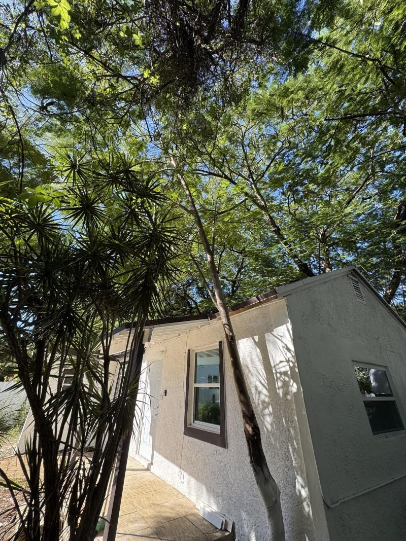 261 Northwest 81st Street, Unit B Miami, FL 33150 - Photo 2 of 12 a view of a balcony with a tree