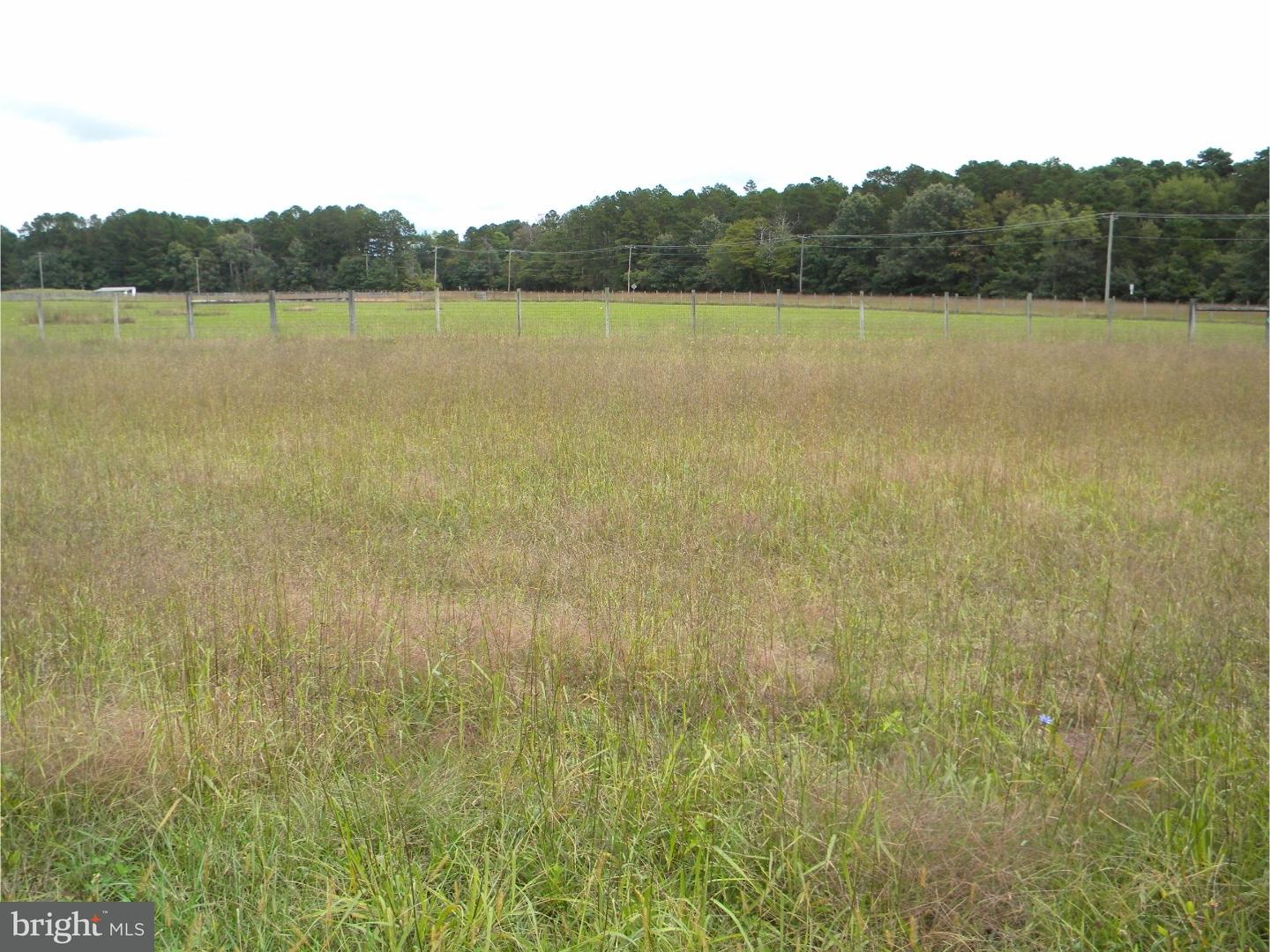 0 Porchtown Road Pittsgrove, NJ 08318 - Photo 16 of 20 Gallery Image 16