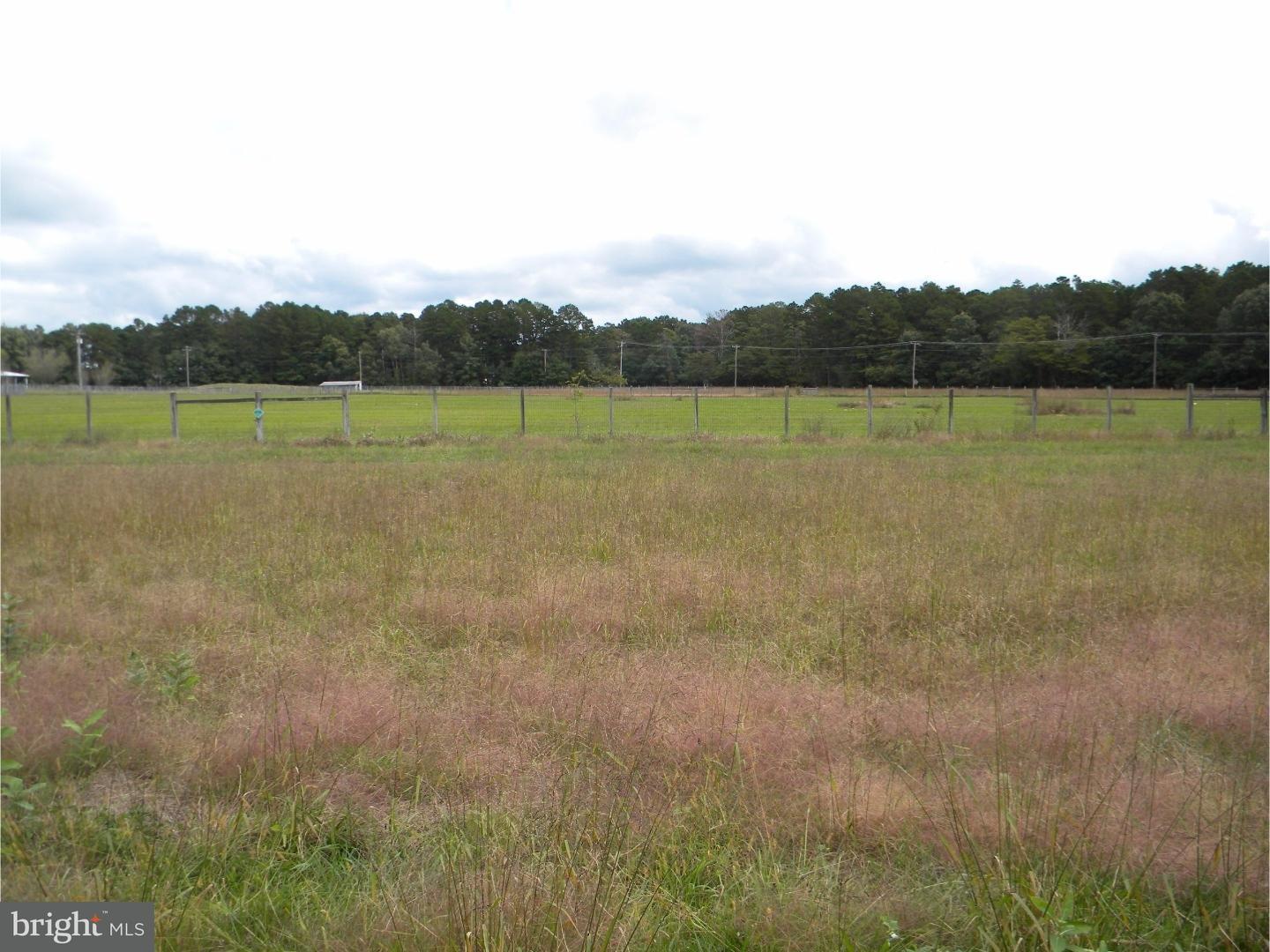 0 Porchtown Road Pittsgrove, NJ 08318 - Photo 17 of 20 Gallery Image 17