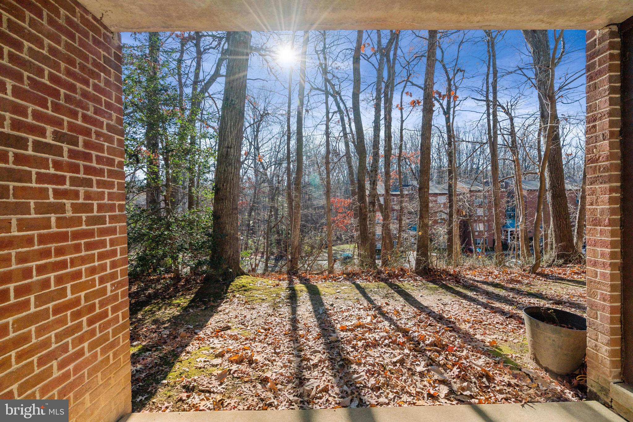 11807 Breton Court, Unit 1A Reston, VA 20191 - Photo 16 of 19 Convenient rear access to trails, walks & tot lot