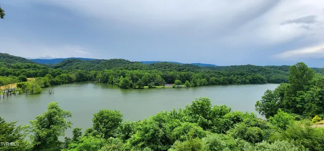 $1,099,000 | 20216 Heron Circle, Abingdon, VA 24211