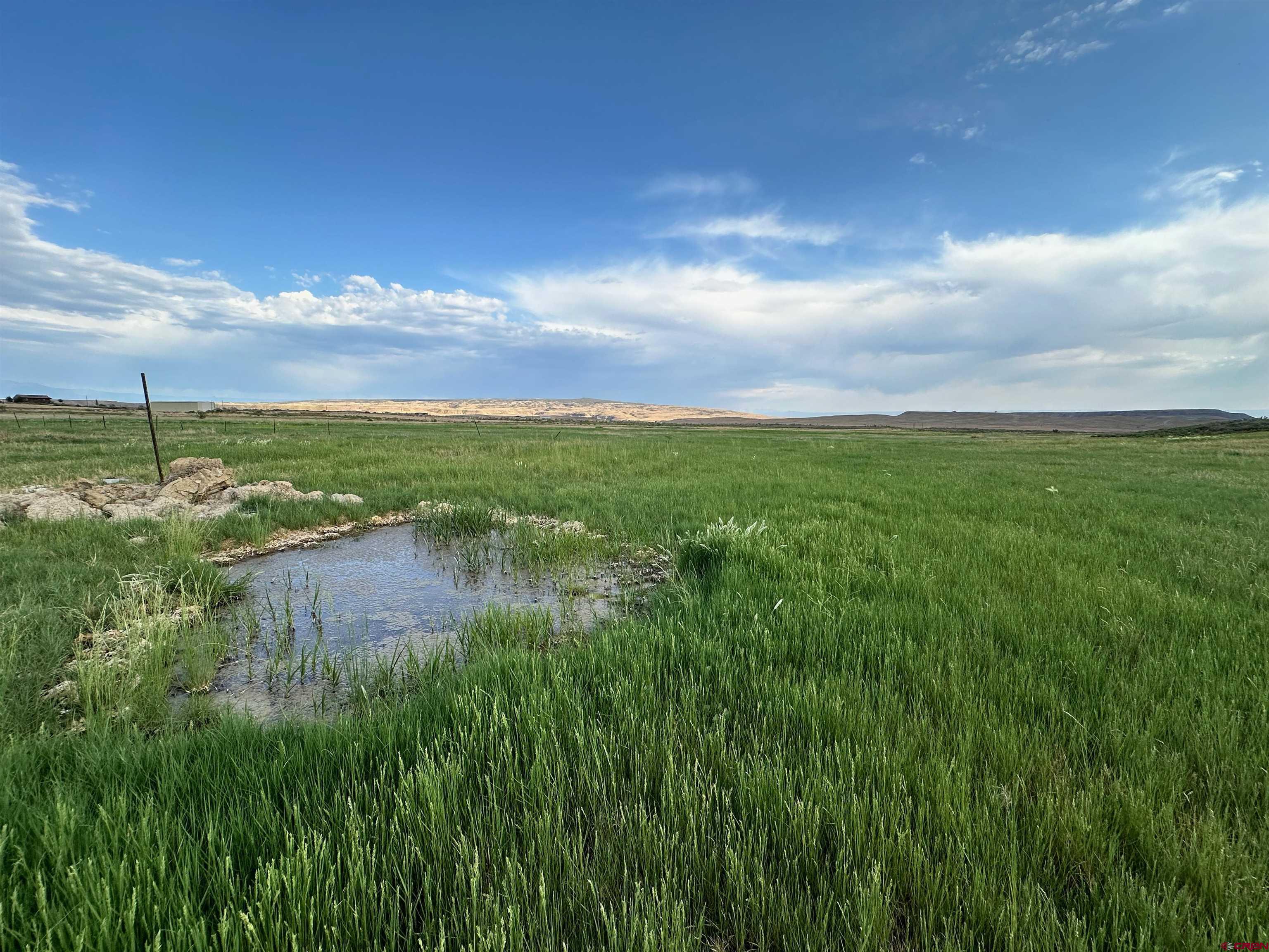 Lot 9 Lazy Lizard Road Austin, CO 81410 - Photo 14 of 25 Gallery Image 14