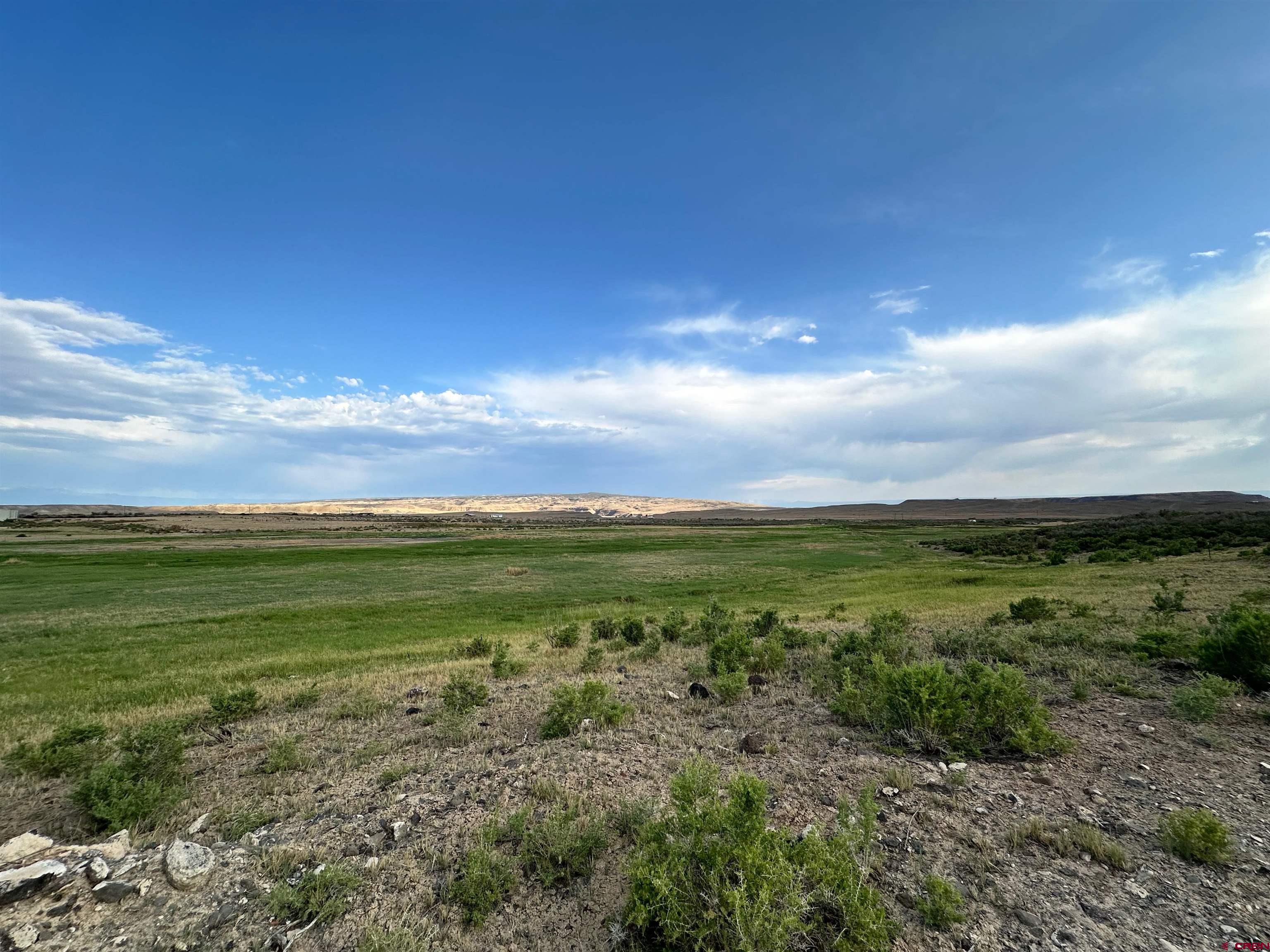 Lot 9 Lazy Lizard Road Austin, CO 81410 - Photo 15 of 25 Gallery Image 15