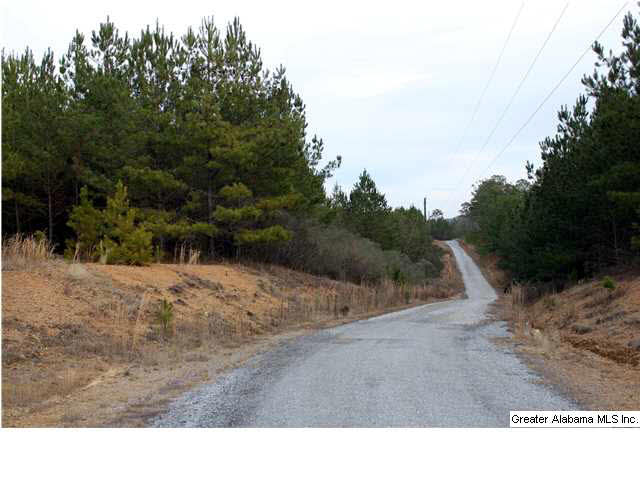 0 Hughes Road, Unit LOT 2A Columbiana, AL 35051 - Photo 2 of 4