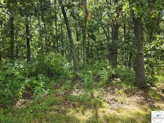 $285,000 | 905 Northeast 1021st Road, Osceola, MO 64776