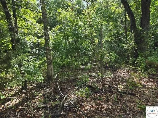 $285,000 | 905 Northeast 1021st Road, Osceola, MO 64776