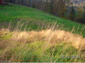 0 Rt 16 Smithville, WV 26178 - Photo 5 of 5