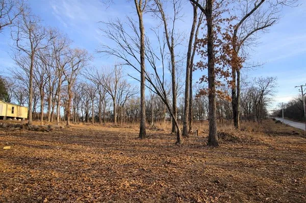 a view of a tree in the middle of a yard
