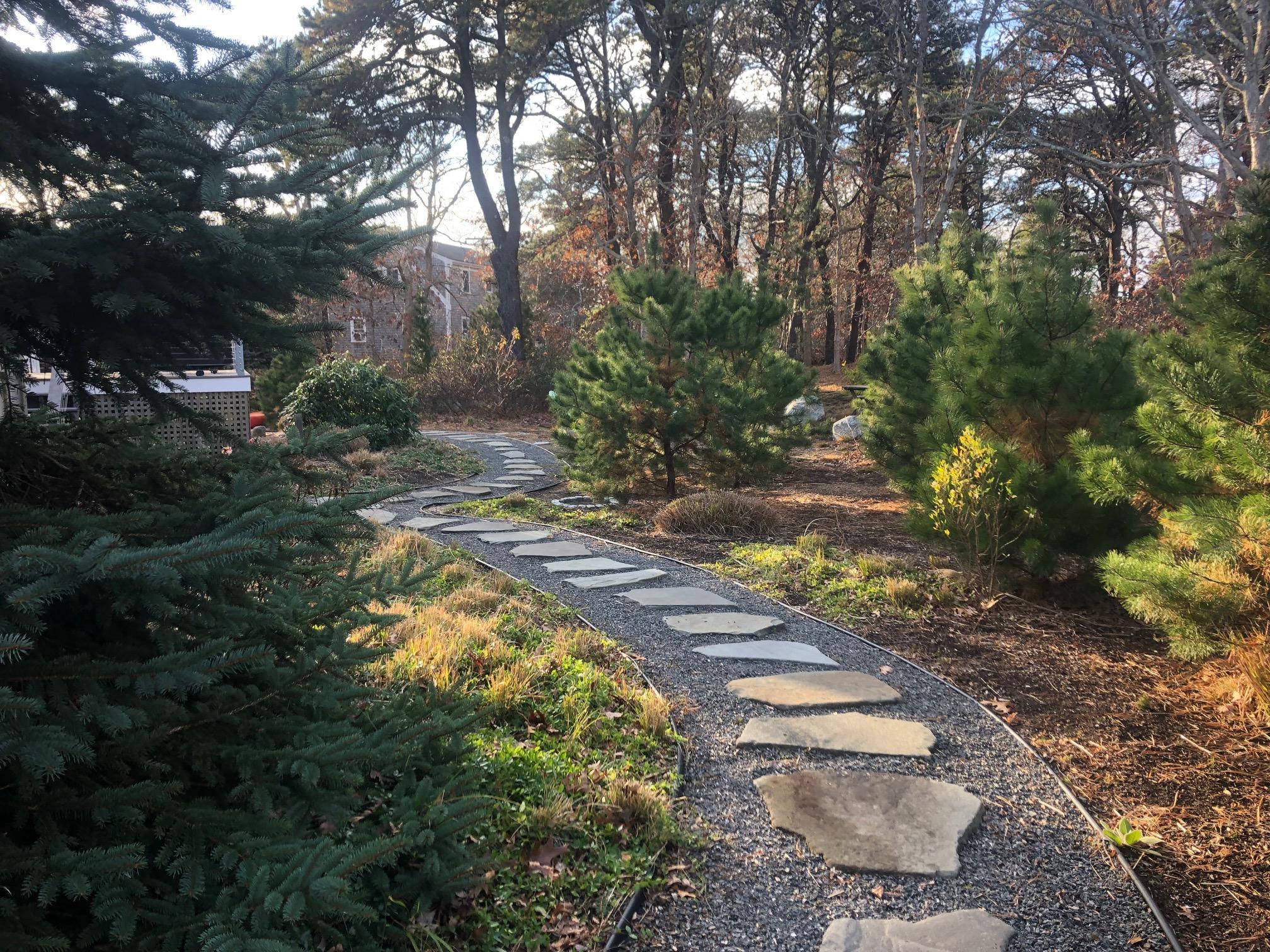 15 Clayton Road Eastham, MA 02642 - Photo 36 of 49 a view of a backyard with green space