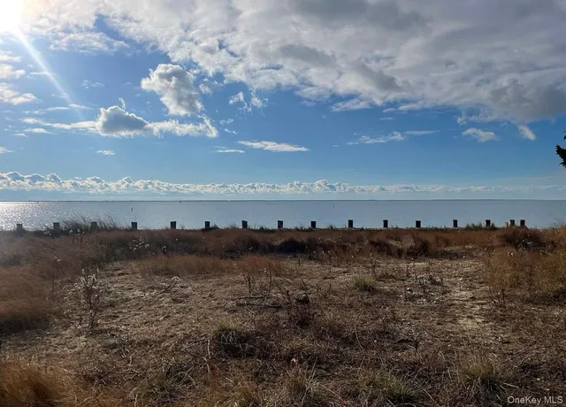a view of ocean view with lots of trees