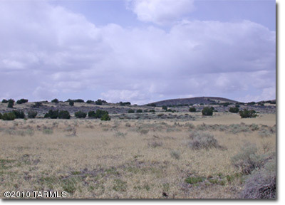 42004 B Alpine Ranch Flagstaff, AZ 86004 - Photo 2 of 3 Gallery Image 2