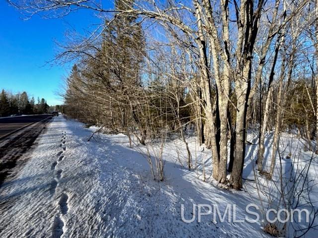 Tbd Tbd Canal Road Houghton, MI 49931 - Photo 6 of 19