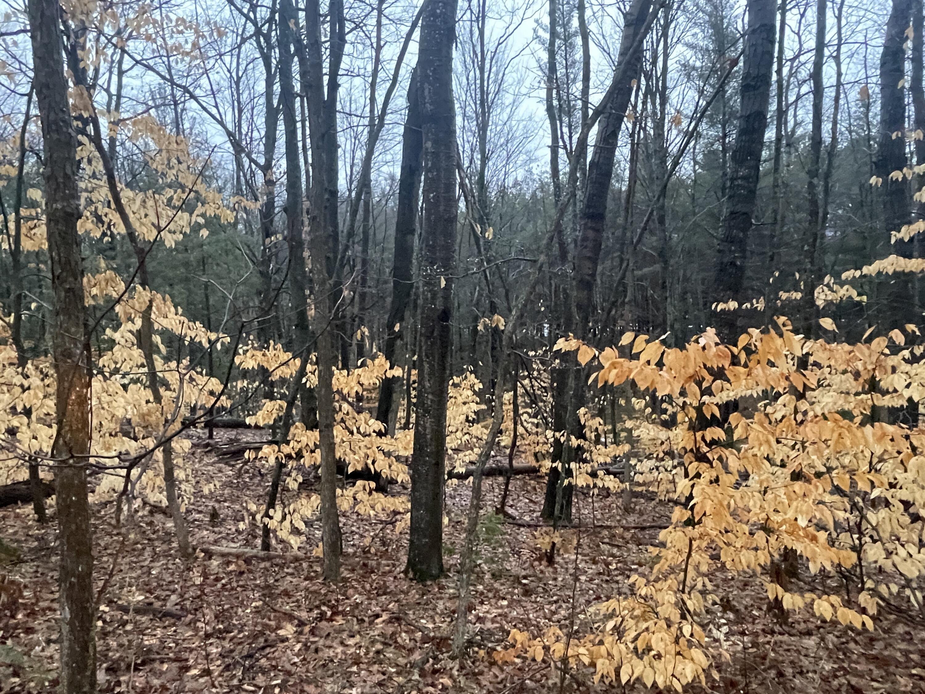 IMG-0904