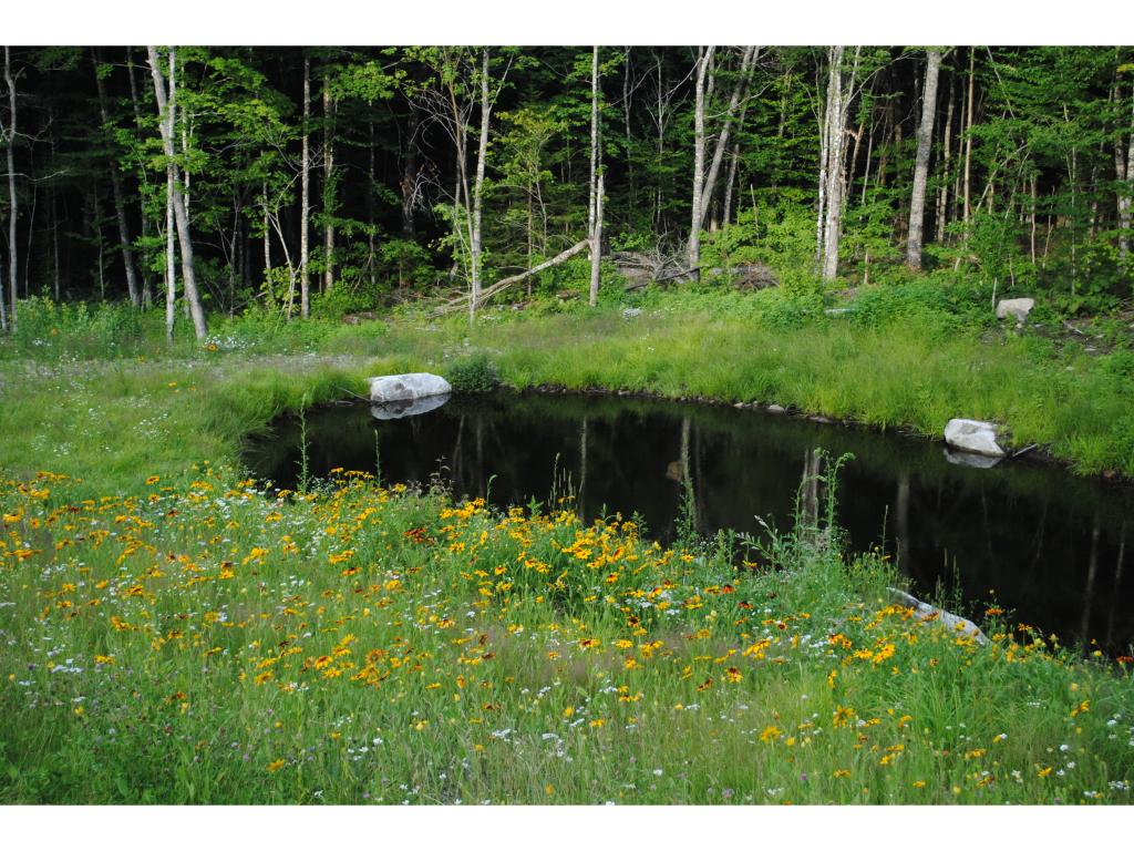 1768 Victory Hill Road Victory, VT 05858 - Photo 15 of 18 Gallery Image 15