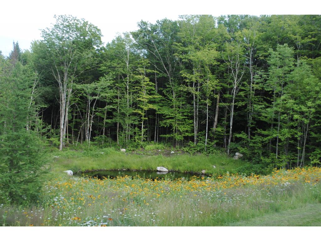 1768 Victory Hill Road Victory, VT 05858 - Photo 17 of 18 Gallery Image 17