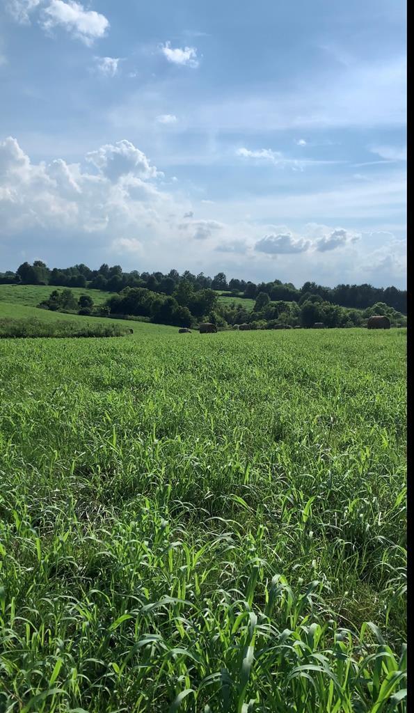 7900 Ecton Road Winchester, KY 40391 - Photo 30 of 44 117379_20