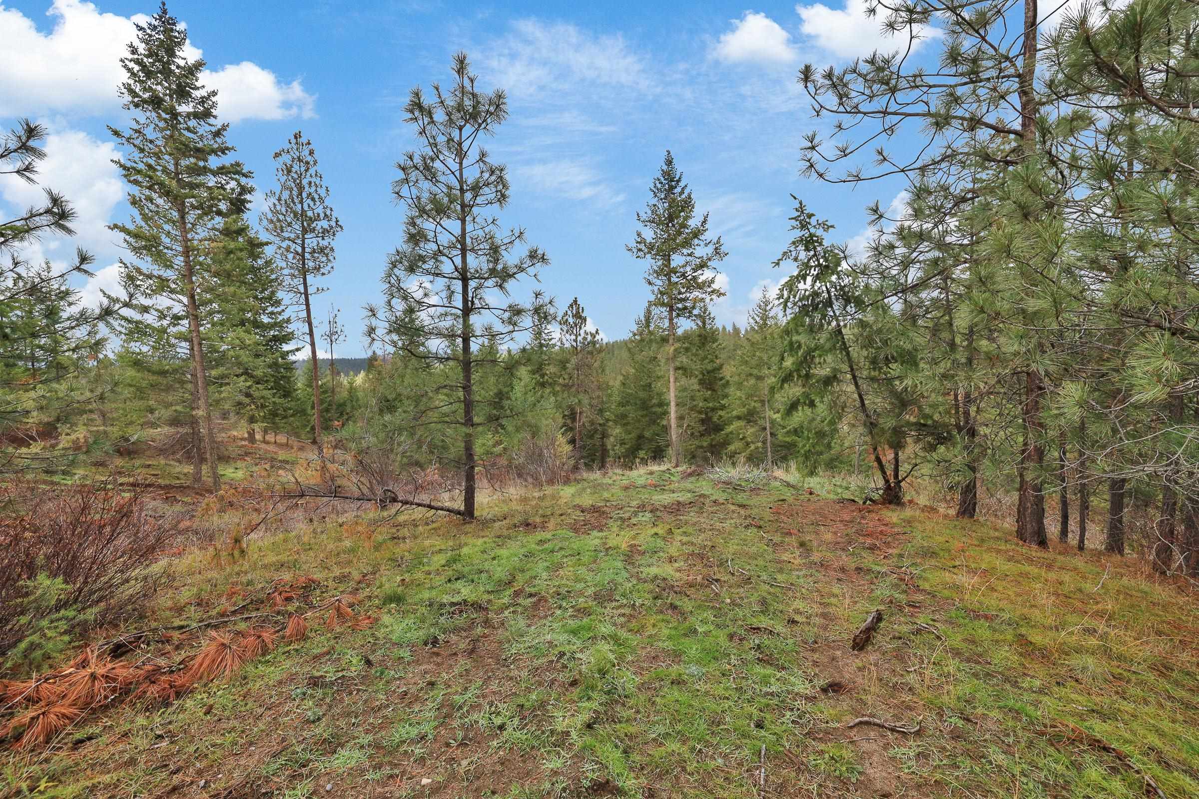 Nka Weaver Road, Unit LOT 4 OF LOT 2 Deer Park, WA 99006 - Photo 11 of 15