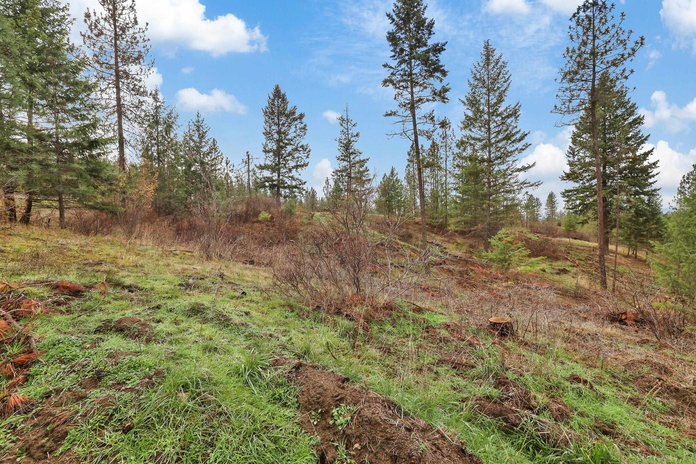 Nka Weaver Road, Unit LOT 4 OF LOT 2 Deer Park, WA 99006 - Photo 12 of 15