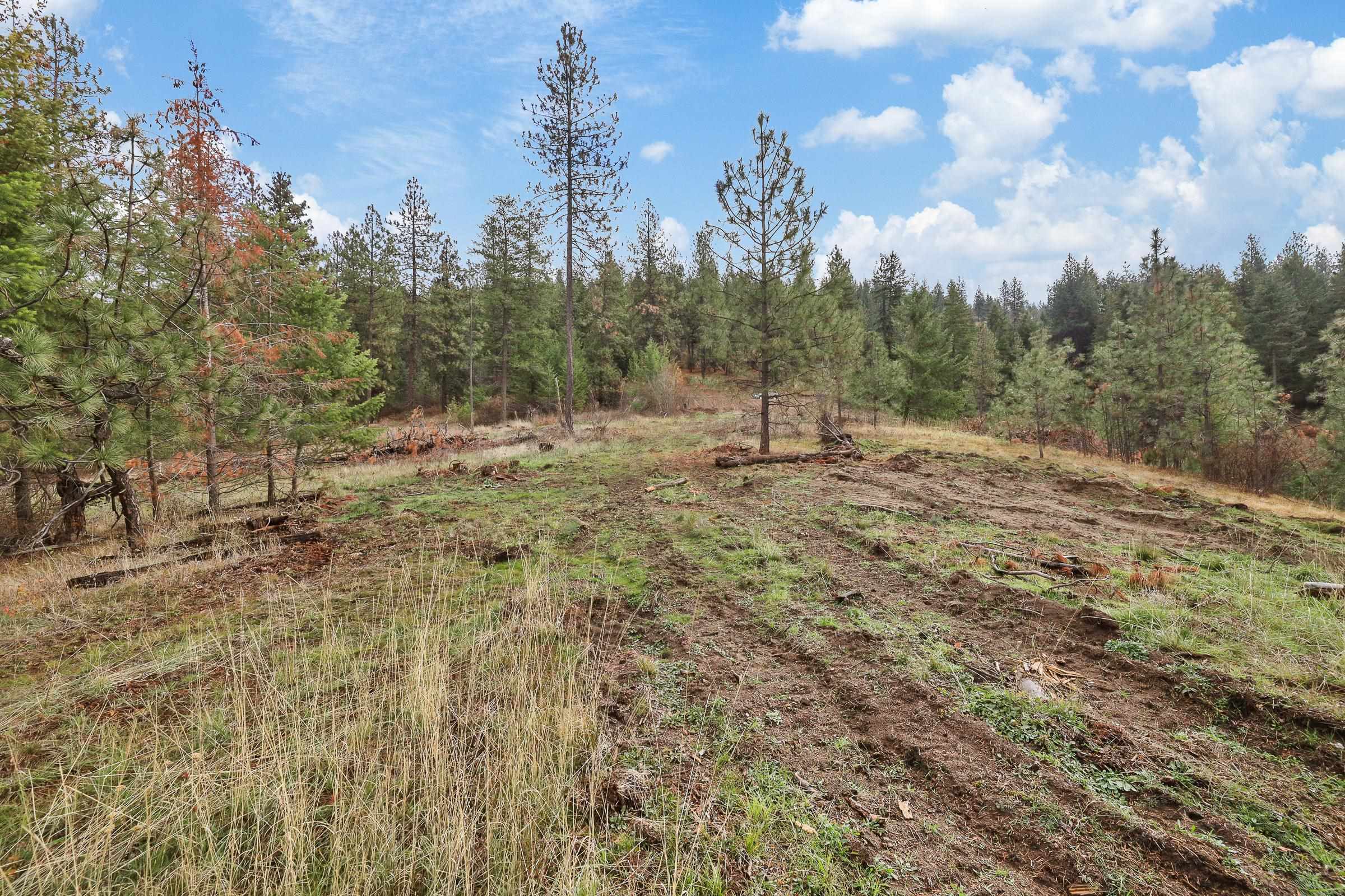 Nka Weaver Road, Unit LOT 4 OF LOT 2 Deer Park, WA 99006 - Photo 13 of 15