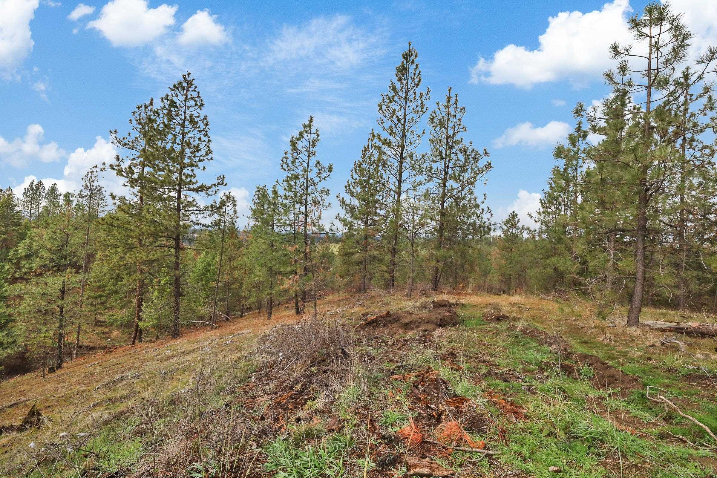 Nka Weaver Road, Unit LOT 4 OF LOT 2 Deer Park, WA 99006 - Photo 14 of 15