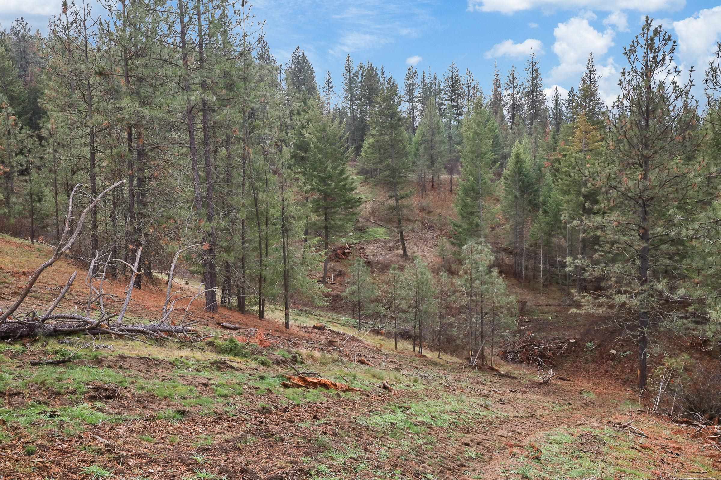 Nka Weaver Road, Unit LOT 4 OF LOT 2 Deer Park, WA 99006 - Photo 15 of 15