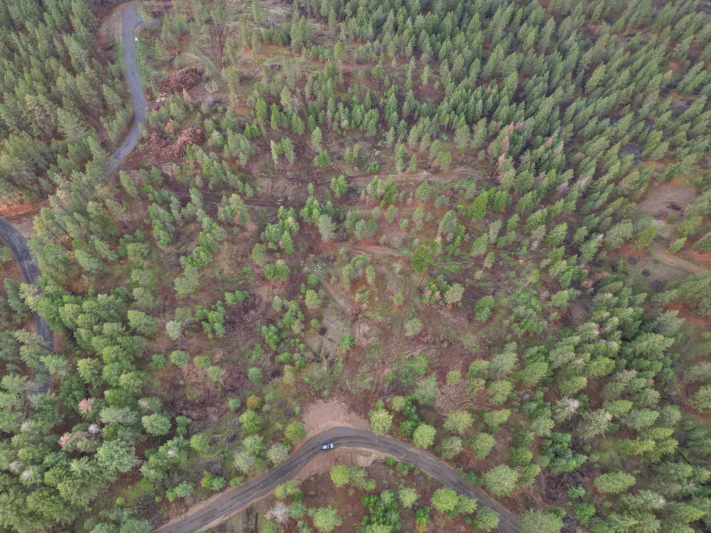 Nka Weaver Road, Unit LOT 4 OF LOT 2 Deer Park, WA 99006 - Photo 3 of 15