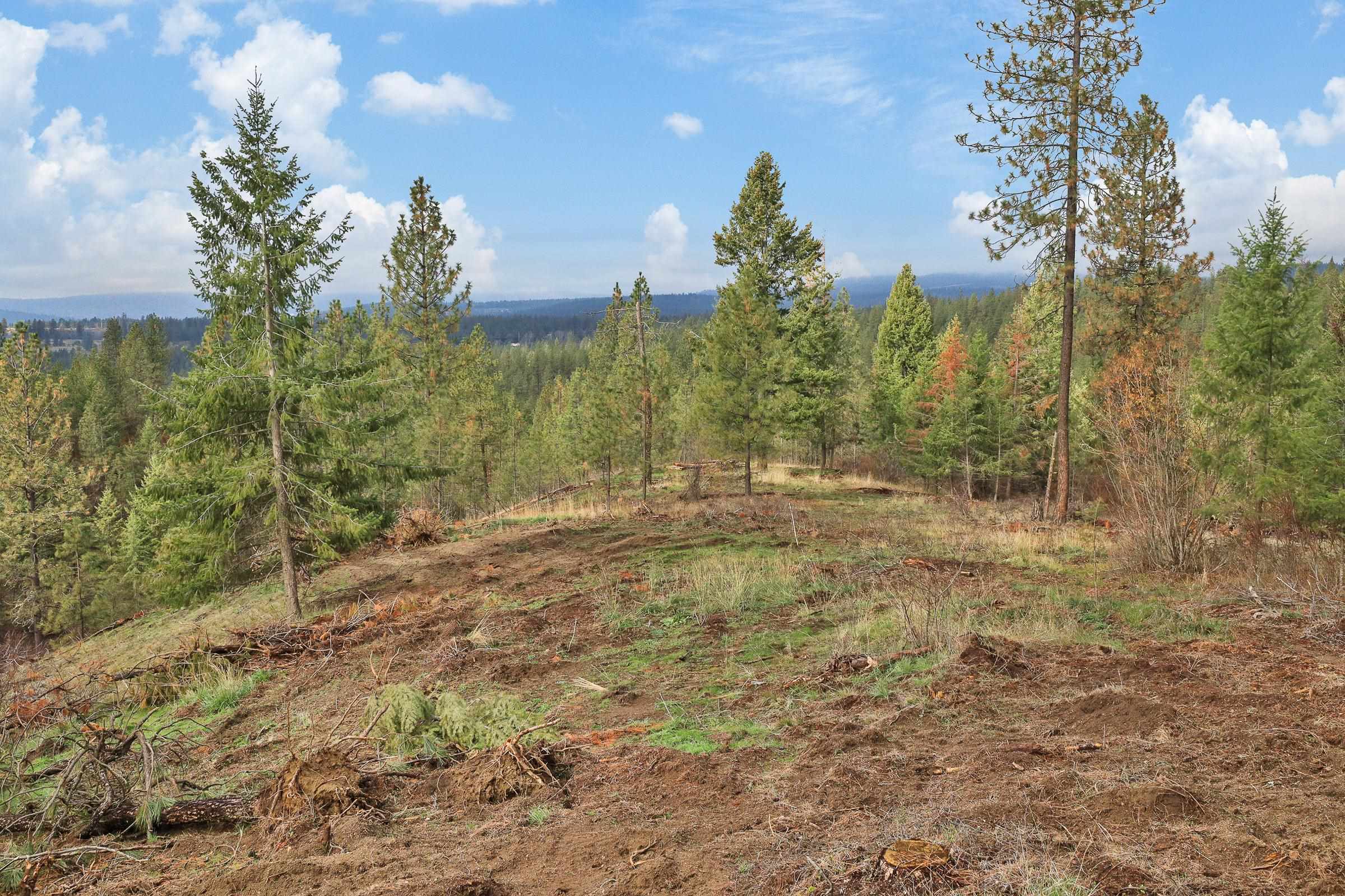 Nka Weaver Road, Unit LOT 4 OF LOT 2 Deer Park, WA 99006 - Photo 4 of 15