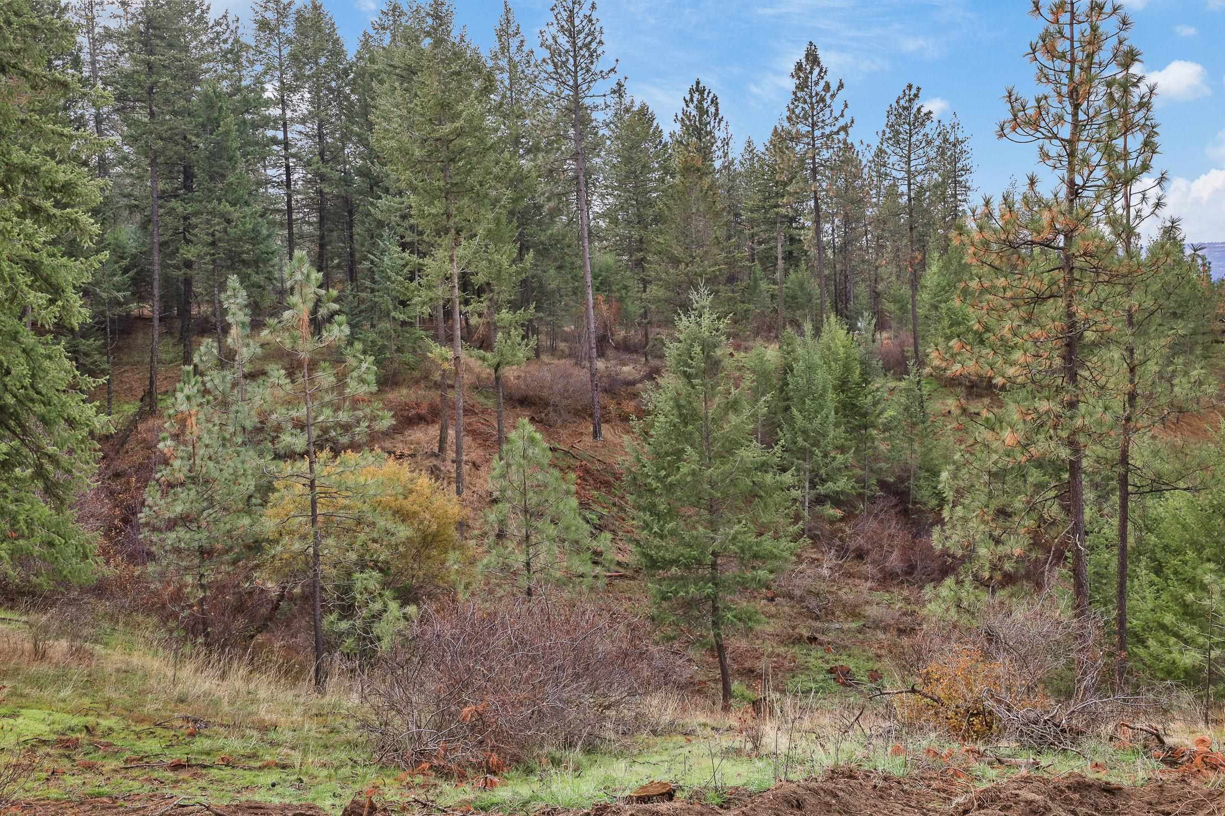 Nka Weaver Road, Unit LOT 4 OF LOT 2 Deer Park, WA 99006 - Photo 5 of 15