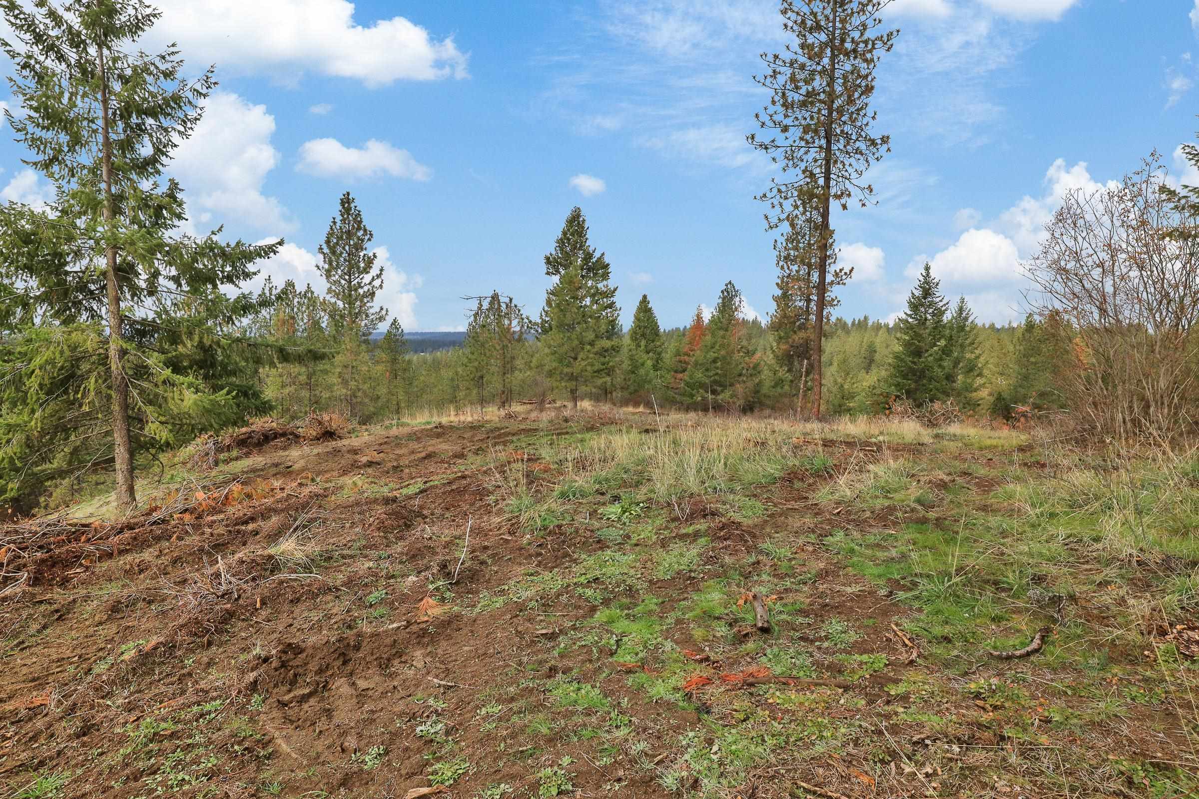 Nka Weaver Road, Unit LOT 4 OF LOT 2 Deer Park, WA 99006 - Photo 6 of 15