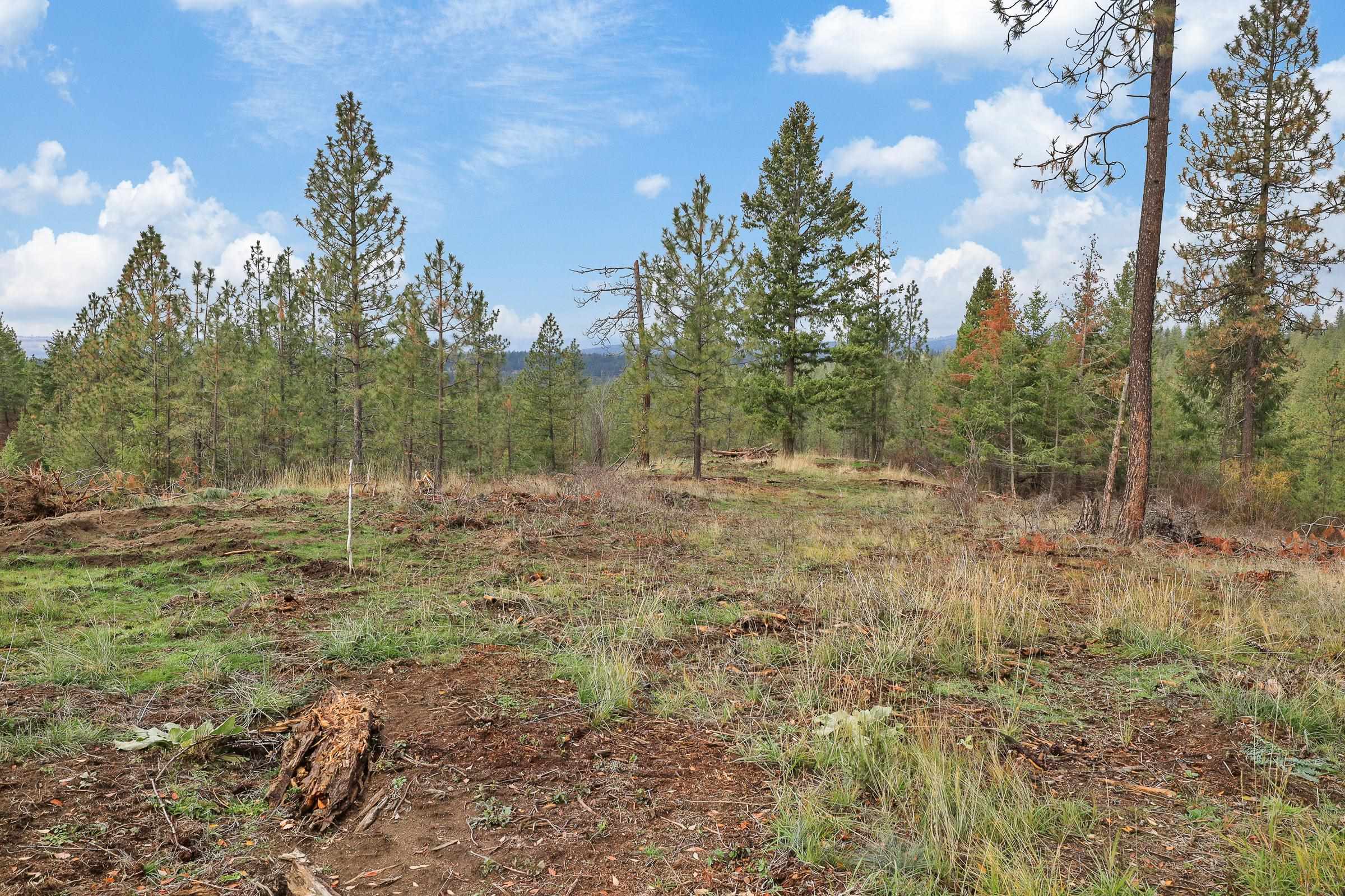 Nka Weaver Road, Unit LOT 4 OF LOT 2 Deer Park, WA 99006 - Photo 7 of 15