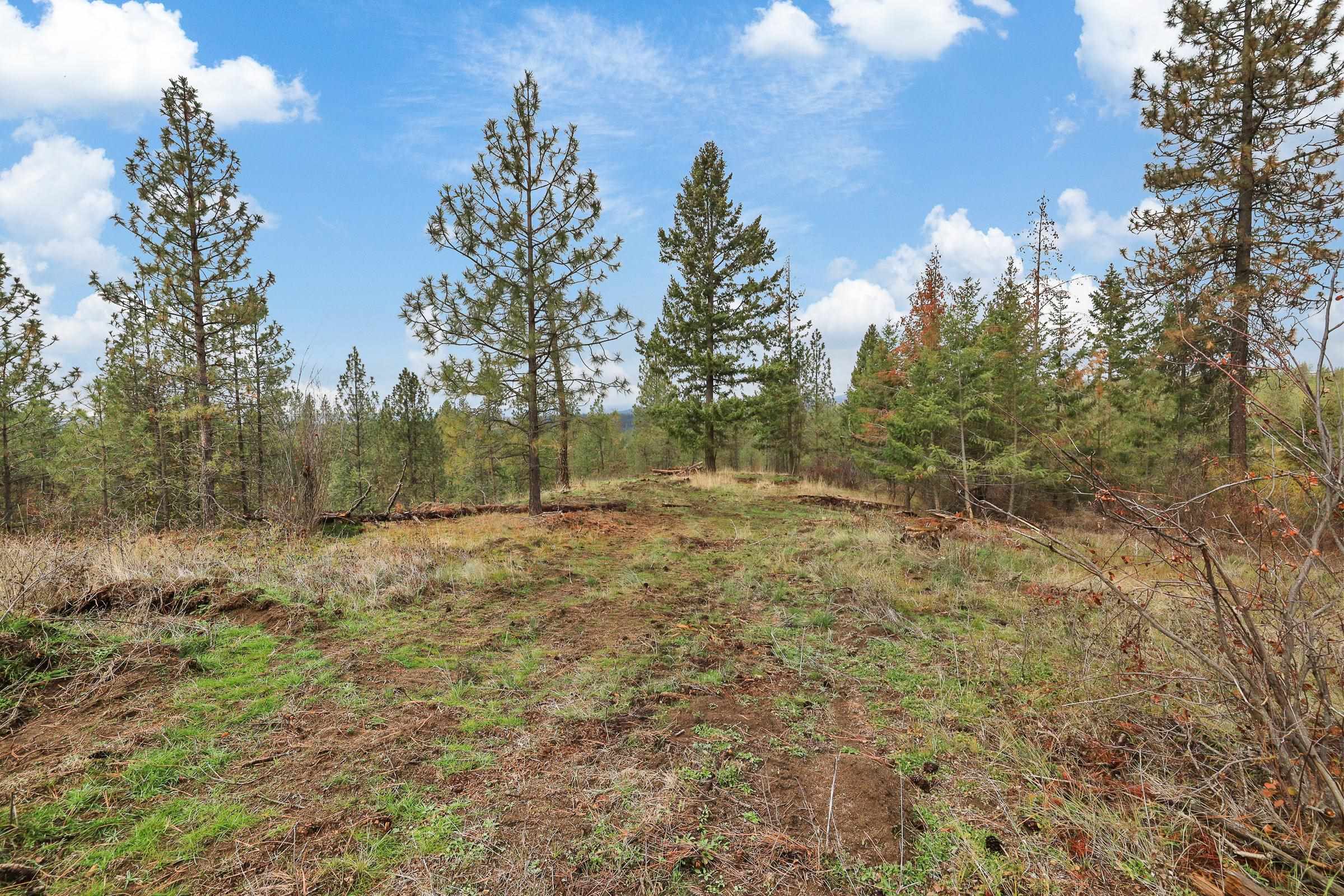 Nka Weaver Road, Unit LOT 4 OF LOT 2 Deer Park, WA 99006 - Photo 8 of 15